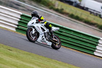 Lower Group White Bikes